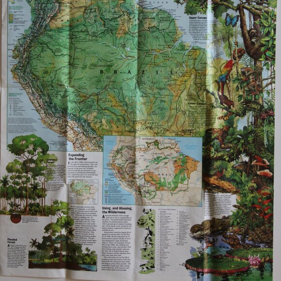 National Geographic Map" South America/ Amazonia." - Picture 2 of 4